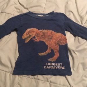 Dinosaur shirt